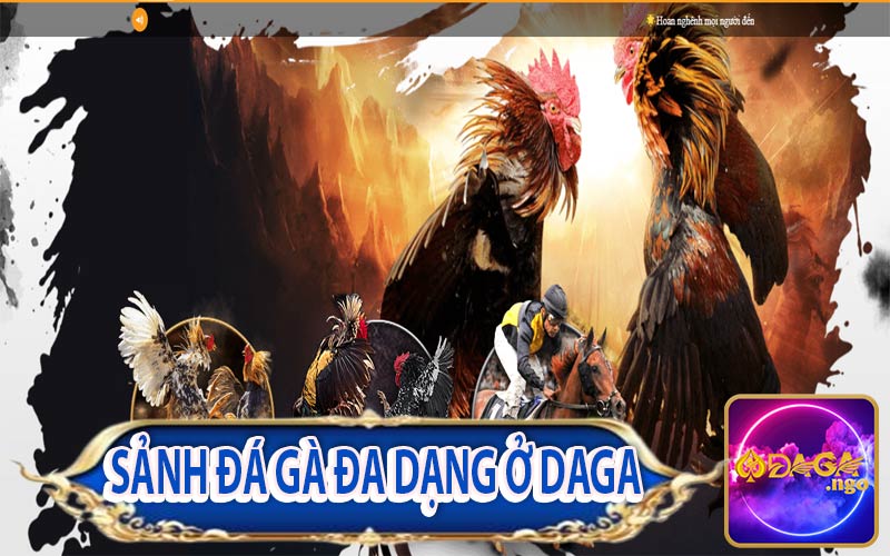 Hệ thống game cá cược đá gà hấp dẫn