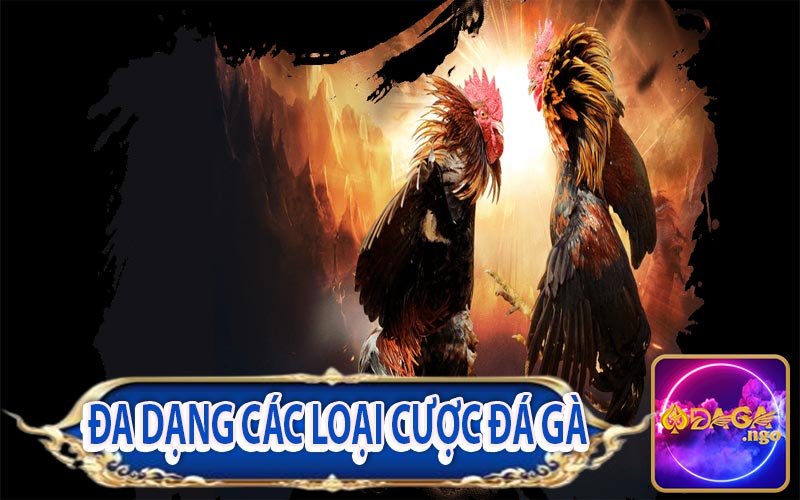 Sản phẩm đa dạng từ các sảnh game đá gà